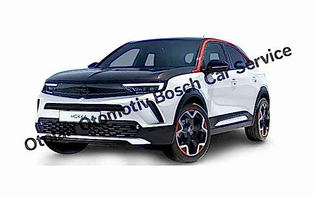 Bornova Opel Servisi