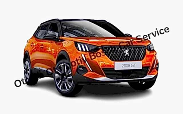 Bornova Peugeot Servisi